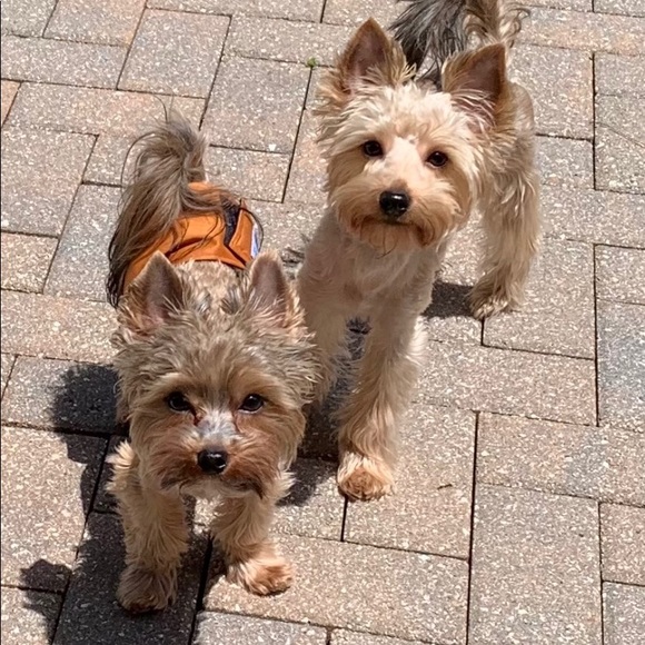 Meet your Posher, Laura! - Picture 8 of 8